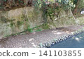 Chisel marks from the Horikawa Canal construction 141103855