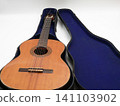 Guitar and guitar case 141103902