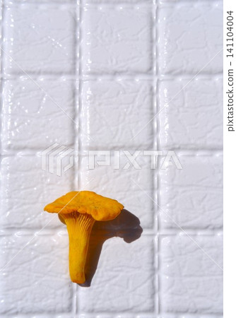 Fresh raw chanterelle mushroom on white background with copy space. Foraging season, summer. Vegan and vegetarian ingredient. Restaurant menu, dishes with chanterelles. Vertical sunny backdrop 141104004