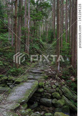 A moss-covered stone bridge in the forest of the Kumano Kodo pilgrimage route A moss-covered stone bridge in the forest of the Kumano Kodo pilgrimage route 141104128