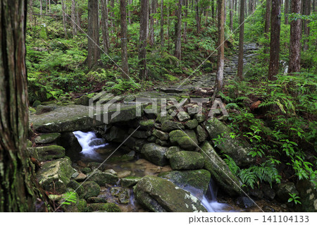 A moss-covered stone bridge in the forest of the Kumano Kodo pilgrimage route A moss-covered stone bridge in the forest of the Kumano Kodo pilgrimage route 141104133