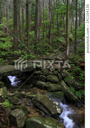 A moss-covered stone bridge in the forest of the Kumano Kodo pilgrimage route A moss-covered stone bridge in the forest of the Kumano Kodo pilgrimage route 141104136