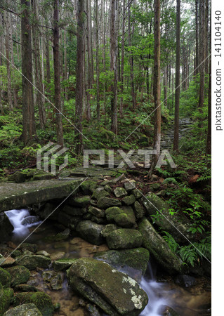 A moss-covered stone bridge in the forest of the Kumano Kodo pilgrimage route A moss-covered stone bridge in the forest of the Kumano Kodo pilgrimage route 141104140