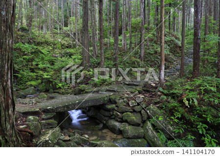 A moss-covered stone bridge in the forest of the Kumano Kodo pilgrimage route A moss-covered stone bridge in the forest of the Kumano Kodo pilgrimage route 141104170