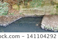 Chisel marks from the Horikawa Canal construction 141104292