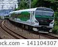 JR East_E257 series 141104307