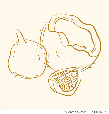 Hand-drawn tropical exotic summer fruits composition, coconut and fig line art for seasonal packaging, menu, summertime deal Hand-drawn tropical exotic summer fruits composition, coconut and fig line art for seasonal packaging, menu, summertime deal 141104794