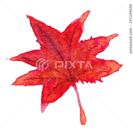 Watercolor illustration: Autumn leaves Watercolor illustration: Autumn leaves 141104856