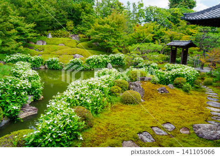 Kyoto Bikinari Half-year student garden Kyoto Bikinari Half-year student garden 141105066