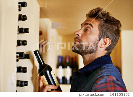 Wine cellar, man and rack with alcohol, bottle and drink choice of sommelier and inventory check. Winery, glass and shelf with shop worker with a vintage selection of liquor at a store or restaurant Wine cellar, man and rack with alcohol, bottle and drink choice of sommelier and inventory check. Winery, glass and shelf with shop worker with a vintage selection of liquor at a store or restaurant 141105102