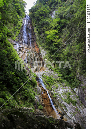 A hidden waterfall surrounded by fresh greenery A hidden waterfall surrounded by fresh greenery 141105185