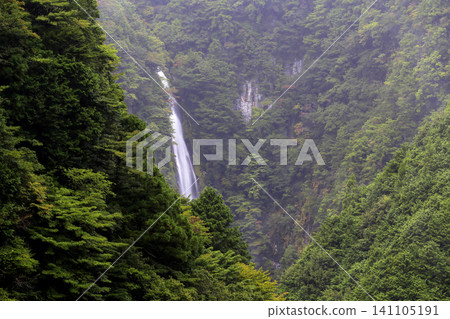 A forest shrouded in mist and a hidden waterfall A forest shrouded in mist and a hidden waterfall 141105191