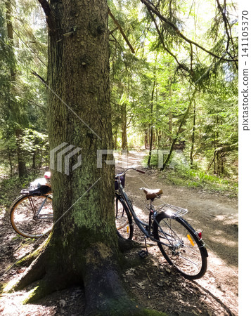 Two bicycles resting by a tree in a forest, illustrating physical wellness and the calming benefits of mindful forest cycling. Two bicycles resting by a tree in a forest, illustrating physical wellness and the calming benefits of mindful forest cycling. 141105370