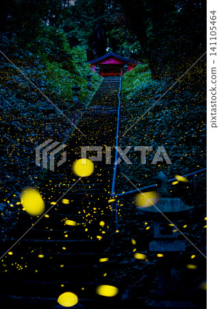 黃昏時分,螢火蟲照亮了石階和通往神社的小路。 黃昏時分,螢火蟲照亮了石階和通往神社的小路。 141105464