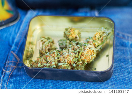 Cannabis, marijuana and bud of weed in container for joint, smoking and blunt for peace or calm as habit. Medicine, box and green plant to reduce pain, stress and anxiety with mental health benefits Cannabis, marijuana and bud of weed in container for joint, smoking and blunt for peace or calm as habit. Medicine, box and green plant to reduce pain, stress and anxiety with mental health benefits 141105547