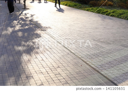 鵝卵石街道,陽光透過樹蔭灑在小巷裡。 鵝卵石街道,陽光透過樹蔭灑在小巷裡。 141105631