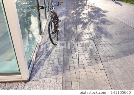 Sunlight filtering through the trees and an abandoned bicycle Sunlight filtering through the trees and an abandoned bicycle 141105660
