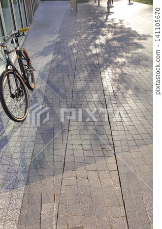 Sunlight filtering through the trees and an abandoned bicycle Sunlight filtering through the trees and an abandoned bicycle 141105670