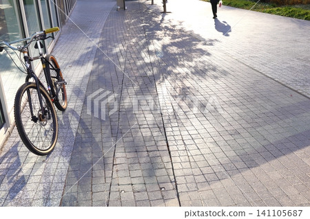 Sunlight filtering through the trees and an abandoned bicycle Sunlight filtering through the trees and an abandoned bicycle 141105687