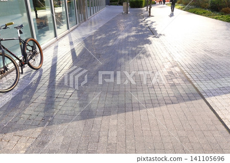 Sunlight filtering through the trees and an abandoned bicycle Sunlight filtering through the trees and an abandoned bicycle 141105696