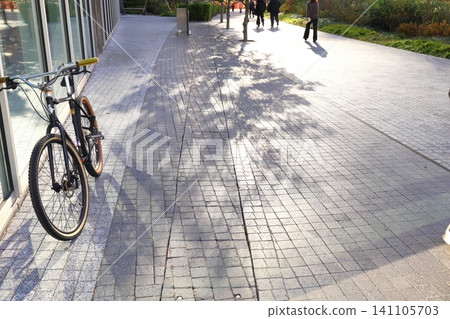 Sunlight filtering through the trees and an abandoned bicycle Sunlight filtering through the trees and an abandoned bicycle 141105703