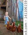 A little boy in a blue suit is watching the chickens in the chicken coop. Raising poultry. Childhood in the countryside 141106159