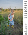 A little boy in a blue overalls and yellow rubber boots is in the vegetable garden, holding a radish. 141106161