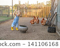 The baby chases the chickens around the yard. The child plays with the animals 141106168