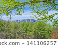 [Togakushi Forest Botanical Garden] Framing the Togakushi mountain range with the fresh green leaves of Katsura and larch trees [Togakushi, Nagano City] 141106257