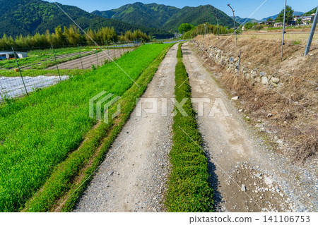 Unpaved farm road in Ohara, Kyoto City Unpaved farm road in Ohara, Kyoto City 141106753