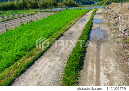 Unpaved farm road in Ohara, Kyoto City Unpaved farm road in Ohara, Kyoto City 141106759