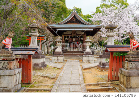 竹中稻荷神社,櫻花盛開 竹中稻荷神社,櫻花盛開 141106799