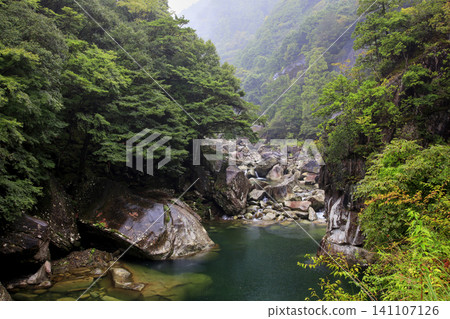 A valley that shines in the fresh green A valley that shines in the fresh green 141107126