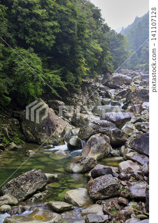 A valley that shines in the fresh green A valley that shines in the fresh green 141107128