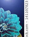 Surreal dark chrome blue flower dahlia with drops of water, macro. place for text 141107823