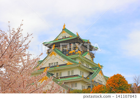 Osaka City, Osaka Prefecture: A view of cherry blossoms and Osaka Castle. Osaka City, Osaka Prefecture: A view of cherry blossoms and Osaka Castle. 141107843