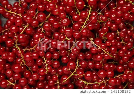 Red currants background, fresh market setting with a top-down view of the fruit's natural beauty and commercial potential for food and kitchen scenes. Red currants background, fresh market setting with a top-down view of the fruit's natural beauty and commercial potential for food and kitchen scenes. 141108122