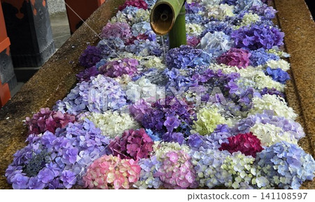 繡球花手水 繡球花手水 141108597