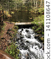 A clear stream and small waterfall flowing through an autumn forest, a healing landscape rich in nature. 141108647