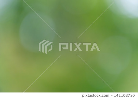 A beautiful green, circular bokeh background reminiscent of sunlight filtering through trees. A beautiful green, circular bokeh background reminiscent of sunlight filtering through trees. 141108750