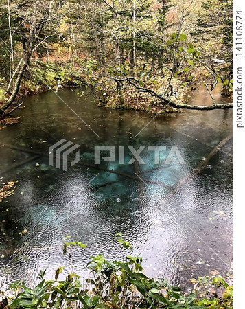 A mystical spring-fed pond glistening with rain, its surface clear and blue – a beautiful autumn scene. A mystical spring-fed pond glistening with rain, its surface clear and blue – a beautiful autumn scene. 141108774