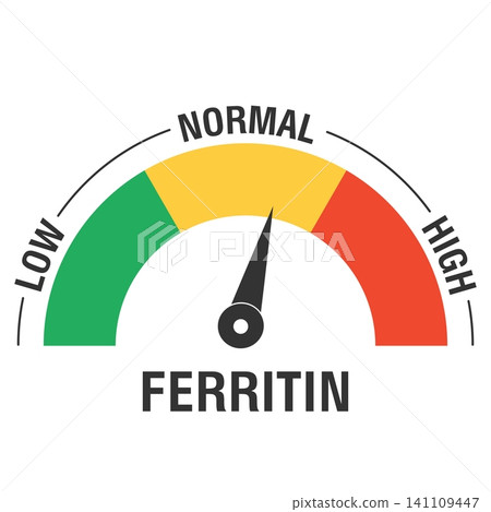 Flat illustration of ferritin level gauge depicting low normal and high measurement scale for medical and health design Flat illustration of ferritin level gauge depicting low normal and high measurement scale for medical and health design 141109447