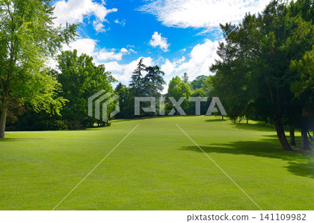 Beautiful Green Lawn in Public Park with Big Trees Under Blue Sky on Sunny Summer Day Beautiful Green Lawn in Public Park with Big Trees Under Blue Sky on Sunny Summer Day 141109982