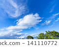 Early summer blue sky, clouds, and trees 141110772