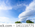 Early summer blue sky, clouds, and trees 141110775
