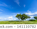 Early summer blue skies, clouds, and grasslands 141110782