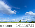 Early summer blue skies, clouds, and grasslands 141110783