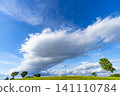 Early summer blue skies, clouds, and grasslands 141110784