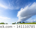 Early summer blue skies, clouds, and grasslands 141110785