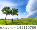 Early summer blue skies, clouds, and grasslands 141110786